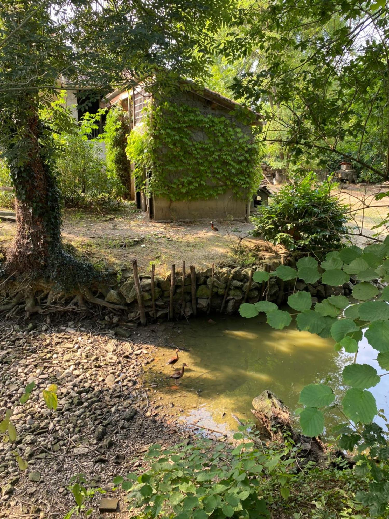 La Seigneurie De Tillac Luaran gambar