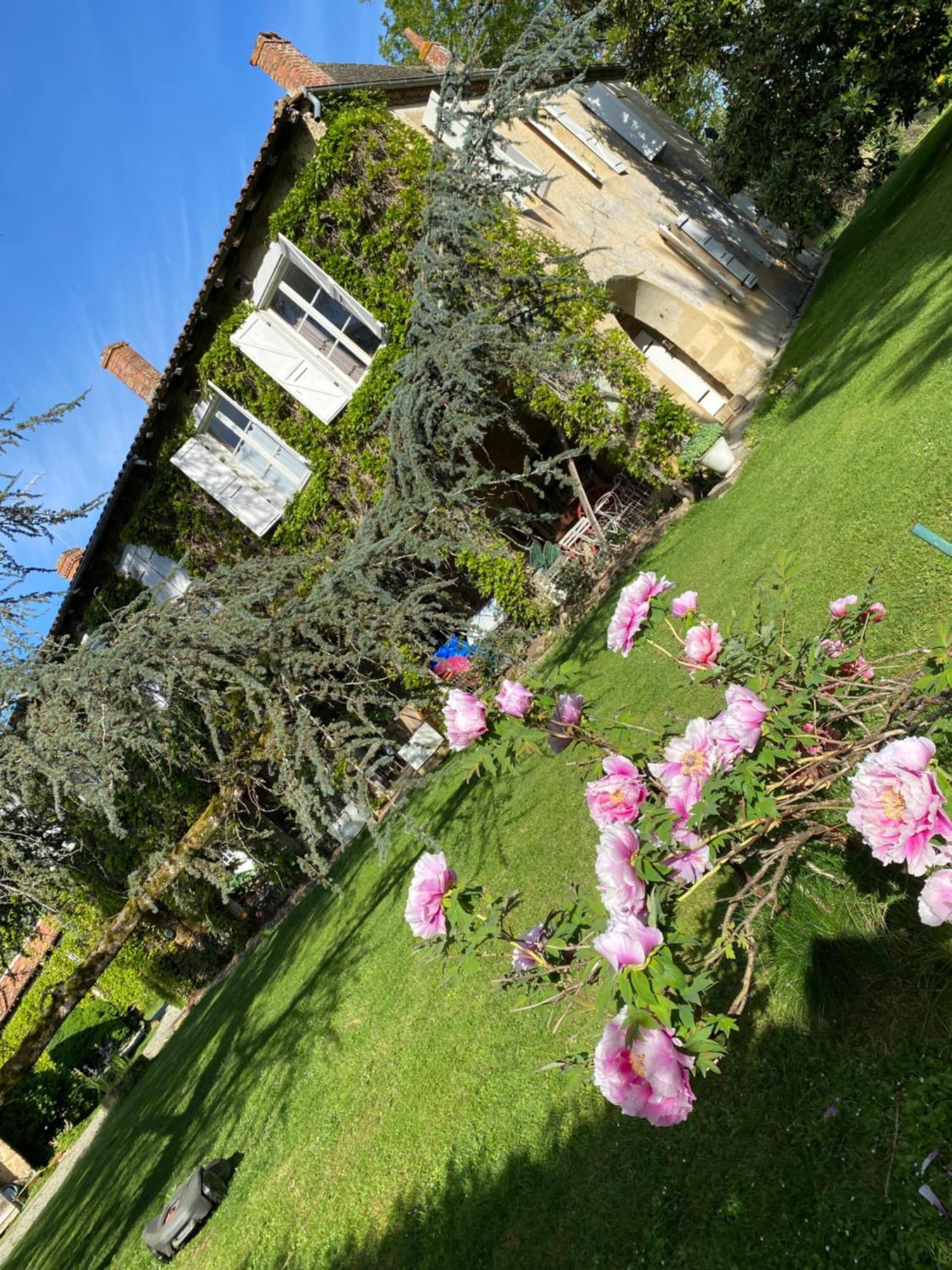 La Seigneurie De Tillac Luaran gambar