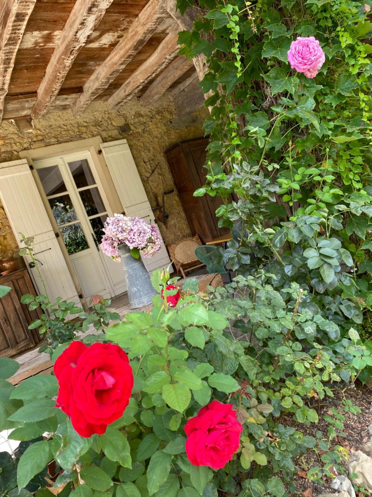 La Seigneurie De Tillac Luaran gambar