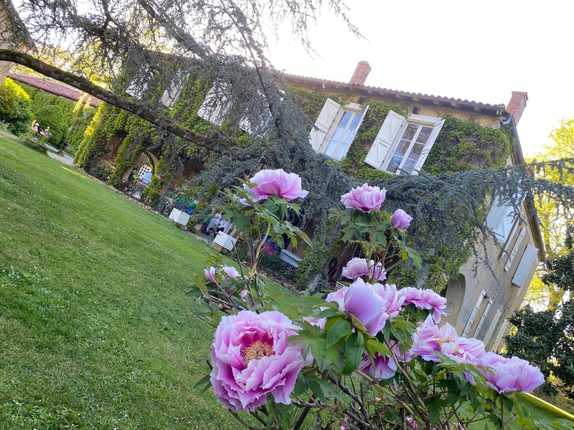 La Seigneurie De Tillac Luaran gambar